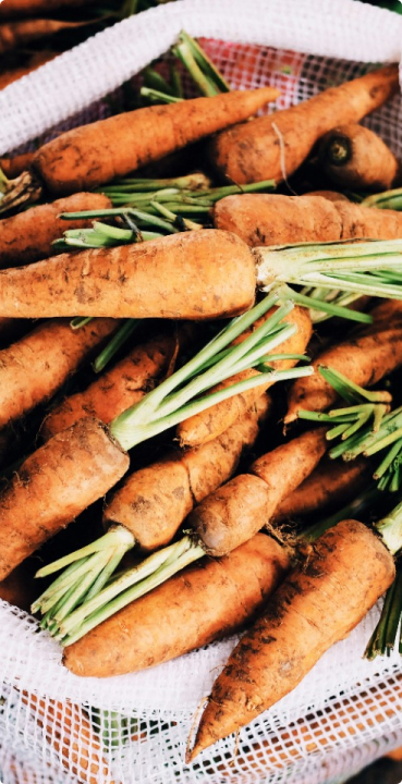 Fresh carrots